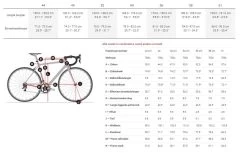 Trek Domane AL 4 Disc -Speciaalzaak Voor Fietsonderdelen 1045610 geo medium 1