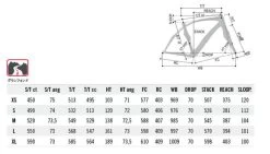 Carrera Phibra NEXT Custom Racefiets -Speciaalzaak Voor Fietsonderdelen 2019 carrera phibranext 02 geo 4