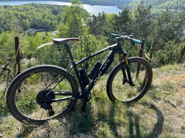 Massini New Roccolo Custombike 11 Massini New Roccolo Custombike - Afbeelding 9