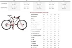 Trek Powerfly 4 625Wh -Speciaalzaak Voor Fietsonderdelen 5263700 geo