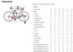 Trek Domane SL 5 Disc -Speciaalzaak Voor Fietsonderdelen 5270410 medium geo 2
