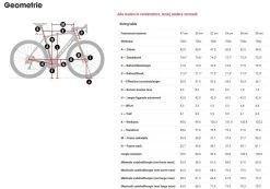 Trek Domane SL 5 Disc -Speciaalzaak Voor Fietsonderdelen 5270410 medium geo
