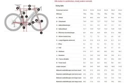 Trek Madone SL 6 Disc -Speciaalzaak Voor Fietsonderdelen 5277061 geo