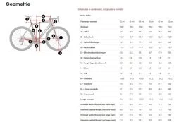 Trek Domane SLR 7 Disc -Speciaalzaak Voor Fietsonderdelen 5279273 geo 2