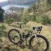 Ridley Kanzo Fast Disc Custom Gravelbike