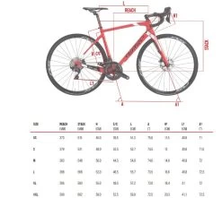 Wilier GTR Team Ultegra Disc 5 Wilier GTR Team Ultegra Disc -Speciaalzaak Voor Fietsonderdelen e1155d12g39 geo 1