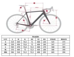 Massini Stradale Disc Custom Racefiets 23 Massini Stradale Disc Custom Racefiets -Speciaalzaak Voor Fietsonderdelen massinistradale geo