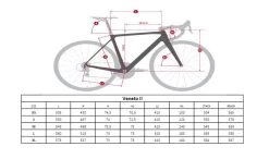 Massini Veneto II Carbon Disc Frameset -Speciaalzaak Voor Fietsonderdelen massinivenetoii geo 1