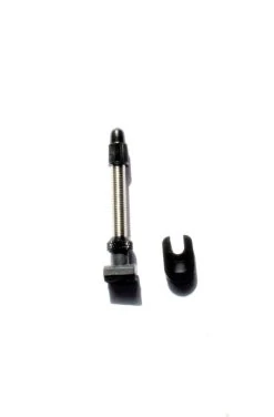 Dt-swiss DT Swiss Tubeless Road/MTB R6.5 Ventiel-Zilver-40mm