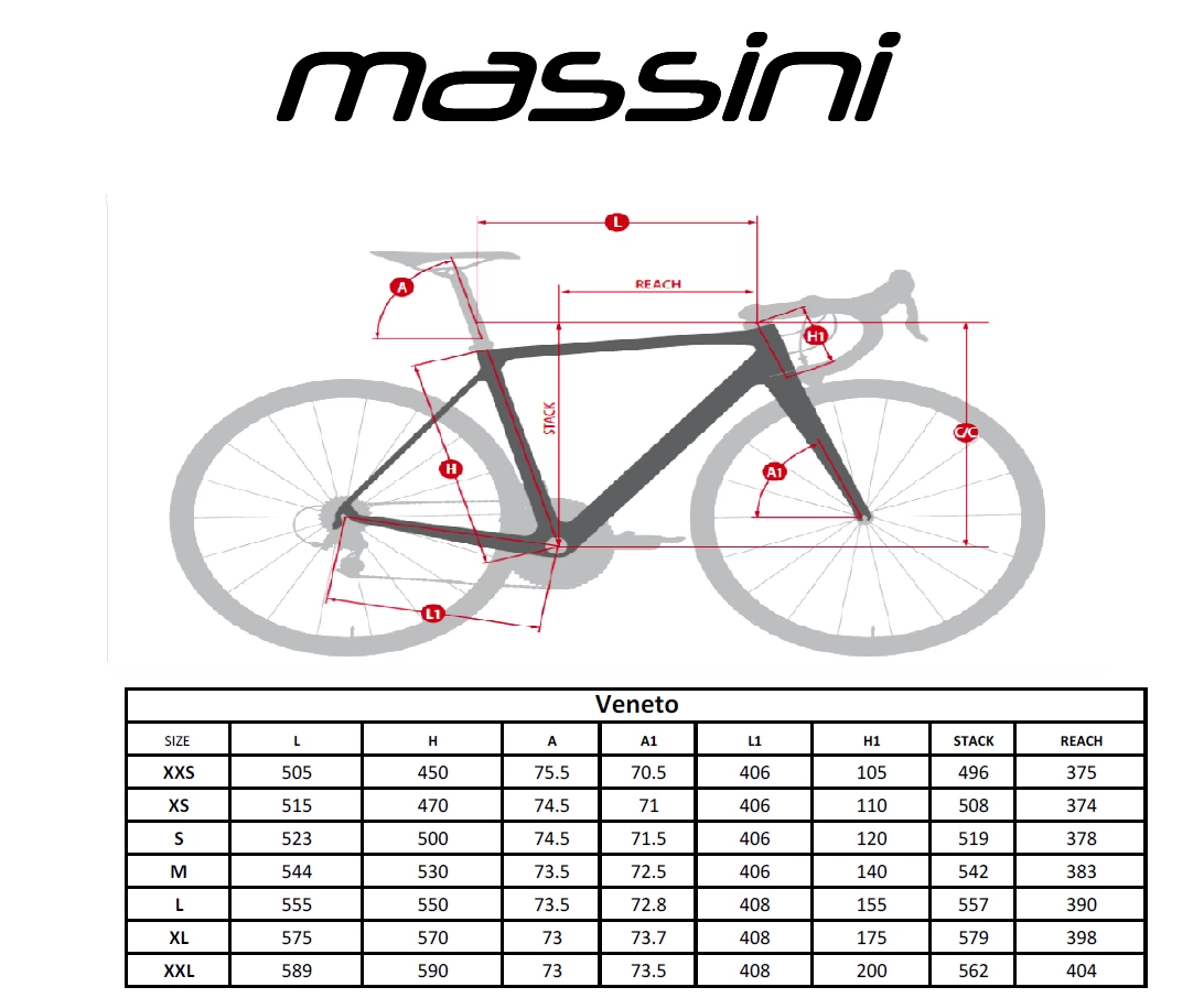 Massini Veneto Carbon Disc Custom Racefiets 9 Massini Veneto Carbon Disc Custom Racefiets - Afbeelding 7